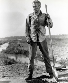 Paul Newman on-set of the Film, "Cool Hand  Luke", 1967