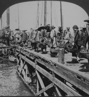 Coolies Carrying Filled Baskets on Docks, Hong Kong, Single Image of Stereo Card, 1910