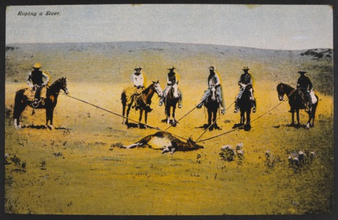 Cowboys Roping a Steer, Hand-Colored Photograph, circa 1925