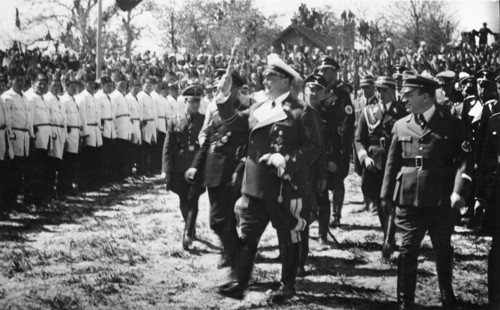 Crowd Greeting Hermann Göring, Linz, Germany, May 13, 1938