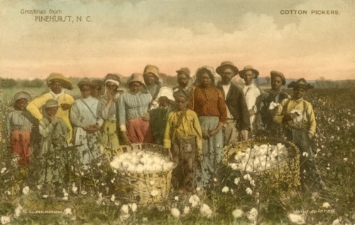 Group of African-American Cotton Pickers in Field, Portrait, Pinehurst, North Carolina, USA, Hand-Colored Postcard, 1912