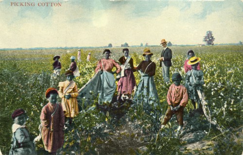 Group of African-American Cotton Pickers in Field, Portrait, USA, Hand-Colored Postcard, circa 1910