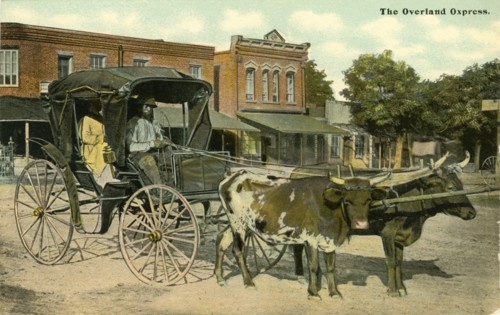 African-American Couple Sitting in Ox-Drawn Carriage, "Overland Oxpress", North Carolina, USA, Hand-Colored Postcard, circa 1910