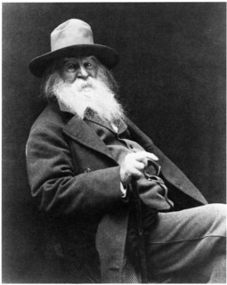 Walt Whitman (1819-92), American Poet, Portrait, circa 1887