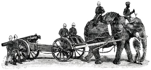 Elephant Carrying Cannon During War, Afghanistan, "Classical Portfolio of Primitive Carriers", by Marshall M. Kirman, World Railway Publ. Co., Illustration, 1895