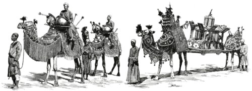 Bridal Procession Traveling on Camels, Arabia, "Classical Portfolio of Primitive Carriers", by Marshall M. Kirman, World Railway Publ. Co., Illustration, 1895