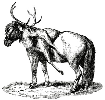 Horse Carrying Dead Deer, Highlands, Scotland, "Classical Portfolio of Primitive Carriers", by Marshall M. Kirman, World Railway Publ. Co., Illustration, 1895