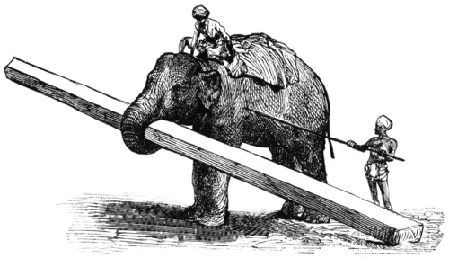 Elephant Carrying Timber, Rangoon, Burma, "Classical Portfolio of Primitive Carriers", by Marshall M. Kirman, World Railway Publ. Co., Illustration, 1895