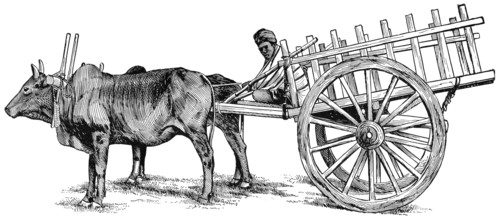 Burmese Ox-Cart, "Classical Portfolio of Primitive Carriers", by Marshall M. Kirman, World Railway Publ. Co., Illustration, 1895