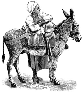 Woman Standing with Donkey, Cairo, Egypt, "Classical Portfolio of Primitive Carriers", by Marshall M. Kirman, World Railway Publ. Co., Illustration, 1895