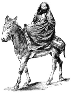Arab Lady on Donkey, Cairo, Egypt, "Classical Portfolio of Primitive Carriers", by Marshall M. Kirman, World Railway Publ. Co., Illustration, 1895