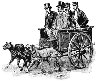 Passenger Conveyance, Holland, "Classical Portfolio of Primitive Carriers", by Marshall M. Kirman, World Railway Publ. Co., Illustration, 1895