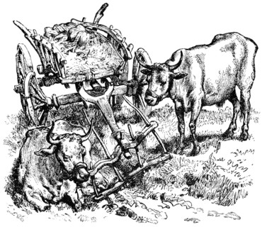 Cart and Oxen, Serbia, "Classical Portfolio of Primitive Carriers", by Marshall M. Kirman, World Railway Publ. Co., Illustration, 1895