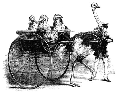 Pleasure Party in the Zoological Gardens, Paris, France, "Classical Portfolio of Primitive Carriers", by Marshall M. Kirman, World Railway Publ. Co., Illustration, 1895