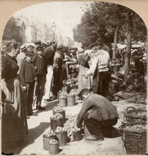 Market Place, Versailles, France, by B.L. Lingley, Keystone View Company, Single Image of Stereo Card, 1897