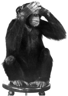 Chimpanzee, See No Evil, circa 1970's