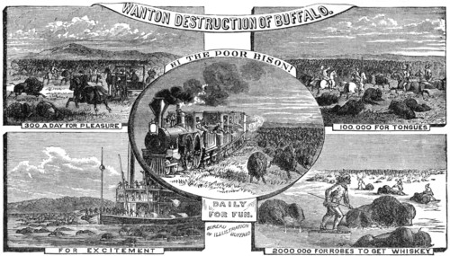 “Wanton Destruction of Buffalo”. By Artist John Reuben Chapin, c 1870, Book Illustration from “Indian Horrors or Massacres of the Red Men”, by Henry Davenport Northrop, 1891