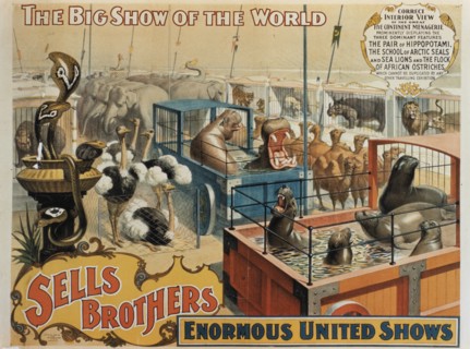 Sells Brothers' Enormous United Shows, The Great Five Continent Menagerie, Circus Poster, circa 1880's