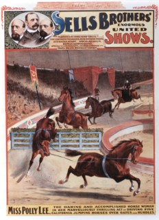 Sells Brothers' Enormous United Shows, Polly Lee, Bareback Rider and her Horses, Circus Poster, 1887