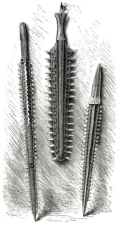 Primitive Weapons made from Shark Teeth, Gilbert Islands, Illustration, 1885