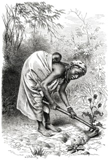 Loango Woman with Baby on Back Working in Field, Africa, Illustration, 1885