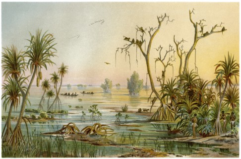 Lagoon, North Loango, West Africa, Illustration, 1885