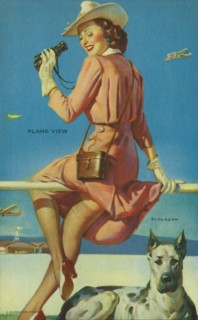 "Plane View", Mutoscope Card, 1940s