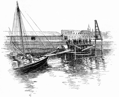 Port of Rosario, Argentina, Harper's New Monthly Magazine, Illustration, 1891