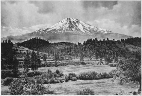 Mount Shasta from Edgewood, California, USA, Photogravure, Denison News Co., 1903