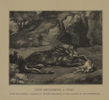 Lion Devouring a Goat, Woodcut Engraving from the Original Painting by Eugène Delacroix The Masterpieces of French Art by Louis Viardot, Published by Gravure Goupil et Cie, Paris, 1882, Gebbie & Co., ...