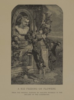 A Kid Feeding on Flowers, Woodcut Engraving from the Original 1855 Painting by Philippe Rousseau, The Masterpieces of French Art by Louis Viardot, Published by Gravure Goupil et Cie, Paris, 1882, Gebb...