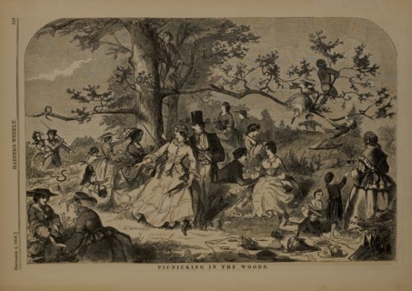 Picnicking in the Woods, Harper's Weekly, September 4, 1858
