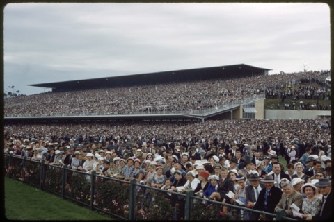 Crowd Watching Melbourne Cup, Victoria Racing Club, Flemington Racecourse, Melbourne, Australia, November 1959