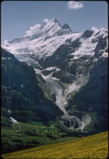 Schreckhorn Peak and Glacier, Grindelwald, Switzerland, 1964