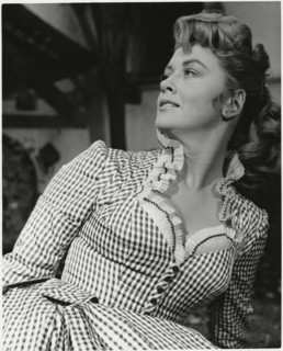 Dorothy Malone, Publicity Portrait, 1940's