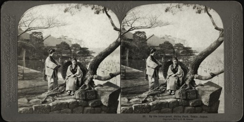 By the lotus pond, Shiba Park, Tokio, Japan, Stereo Card, C.H. Graves, Universal Photo Art, 1902