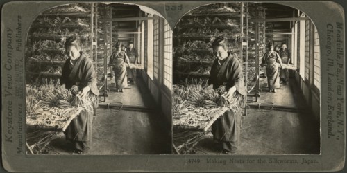 Making Nests for the Silkworms, Japan, Stereo Card, Keystone View Company, 1905