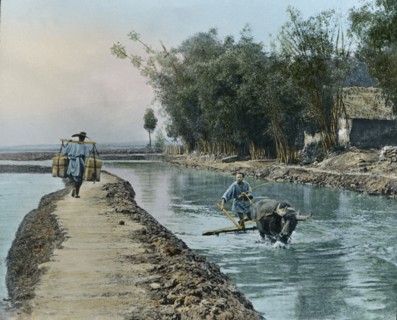 Dirt Road between Rice Fields, China, Hand-Colored Magic Lantern Slide, Newton & Company, 1930