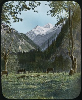 Mountain Scene, Kashmir, India, Hand-Colored Magic Lantern Slide, Newton & Company, 1920