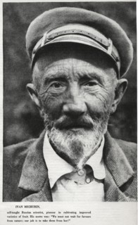 Ivan Vladimirovich Michurin (1855-1935), Russian Horticulturist, created more than 300 Varieties of Fruit Plants, Portrait