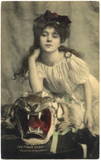 Evelyn Nesbit, The Tiger-Head, Portrait on Tiger-Skin Rug, Postcard, 1902