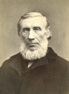John Tyndall (1820-93), Irish Physicist, Medical Educator, Portrait, 1880's