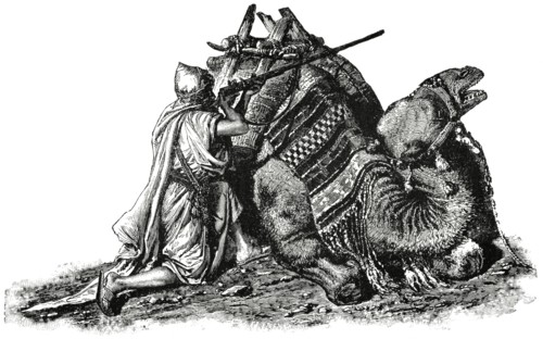 Traveler Shooting in Desert, Syria, 1890, Illustration, Classical Portfolio of Primitive Carriers, by Marshall M. Kirman, World Railway Publ. Co., Illustration, 1895