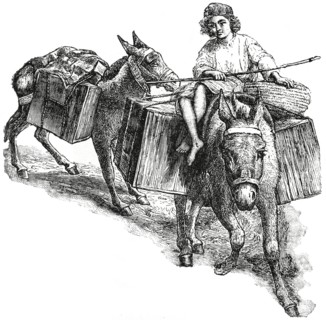 Loads on Donkeys, Palestine, 1890's, Illustration, Classical Portfolio of Primitive Carriers, by Marshall M. Kirman, World Railway Publ. Co., Illustration, 1895