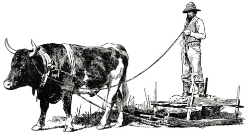 Ox and Sled, Ashville, North Carolina, USA, Illustration, Classical Portfolio of Primitive Carriers, by Marshall M. Kirman, World Railway Publ. Co., Illustration, 1895