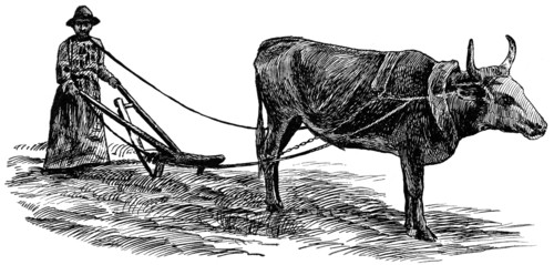 Farming in Rural Georgia, USA, Illustration, Classical Portfolio of Primitive Carriers, by Marshall M. Kirman, World Railway Publ. Co., Illustration, 1895