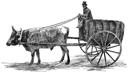 Ox Cart with Load of Cotton, Georgia, USA, Illustration, Classical Portfolio of Primitive Carriers, by Marshall M. Kirman, World Railway Publ. Co., Illustration, 1895