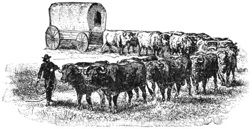 Wagon Train on the Great Plains, USA, Illustration, Classical Portfolio of Primitive Carriers, by Marshall M. Kirman, World Railway Publ. Co., Illustration, 1895