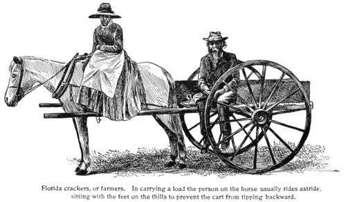 Horse Cart, Florida Farmers, USA, Illustration, Classical Portfolio of Primitive Carriers, by Marshall M. Kirman, World Railway Publ. Co., Illustration, 1895