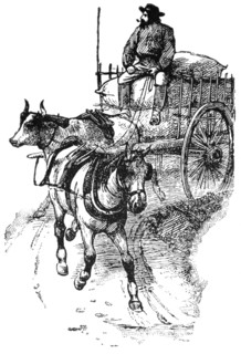 Horse and Ox Cart of Red River near Winnipeg, Canada, Illustration, Classical Portfolio of Primitive Carriers, by Marshall M. Kirman, World Railway Publ. Co., Illustration, 1895